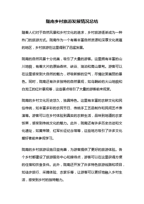 陇南乡村旅游发展情况总结