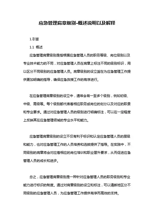 应急管理肩章级别-概述说明以及解释