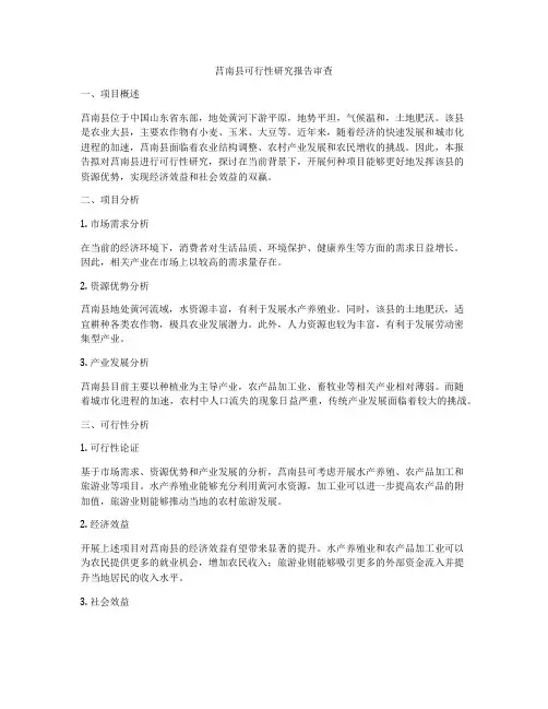莒南县可行性研究报告审查