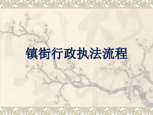 镇街行政执法流程