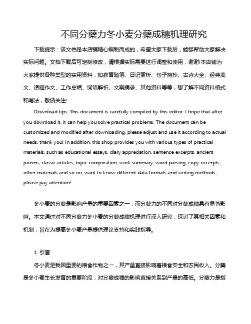 不同分蘖力冬小麦分蘖成穗机理研究
