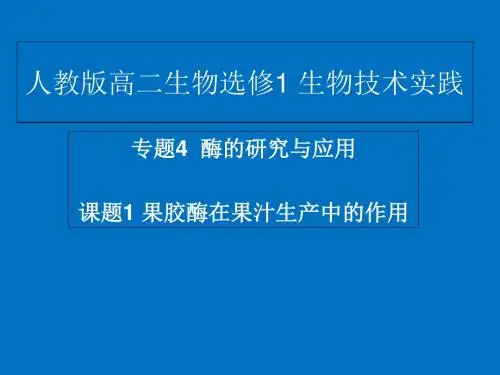 人教2003课标版 高中生物 选修1专题4课题1 果胶酶在果汁生产中的作用(共28张PPT)
