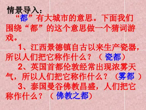 《音乐之都维也纳》ppt课件