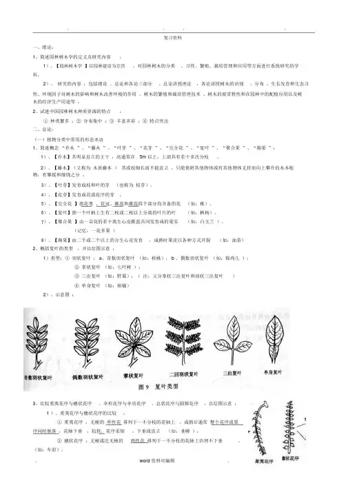 树木学学习知识整理.doc