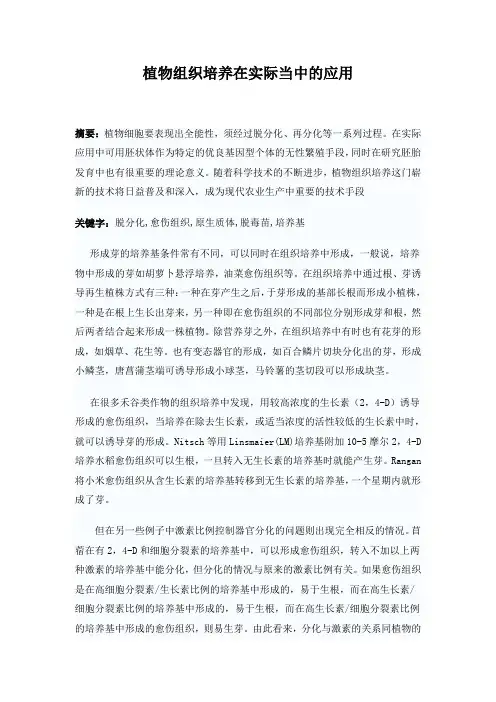植物组织培养在实际生活中的应用