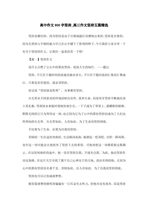 高中作文800字坚持_高三作文坚持五篇精选