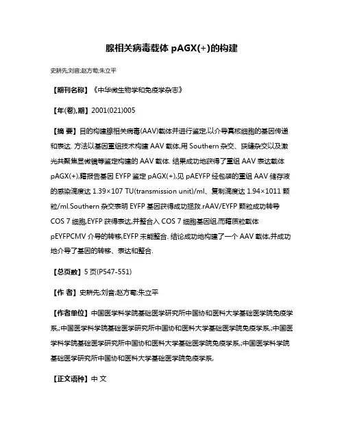 腺相关病毒载体pAGX(+)的构建