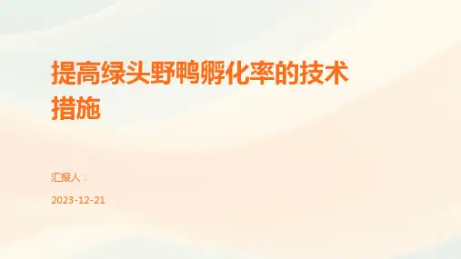 提高绿头野鸭孵化率的技术措施