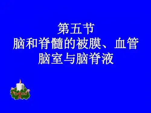 脑和脊髓被膜血管及脑脊液循环ppt课件