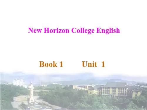 新视野大学英语第二版第一册unit1