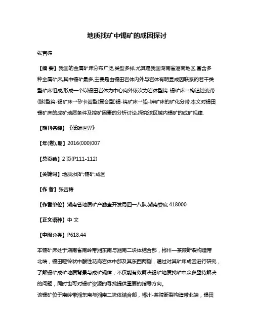 地质找矿中锡矿的成因探讨