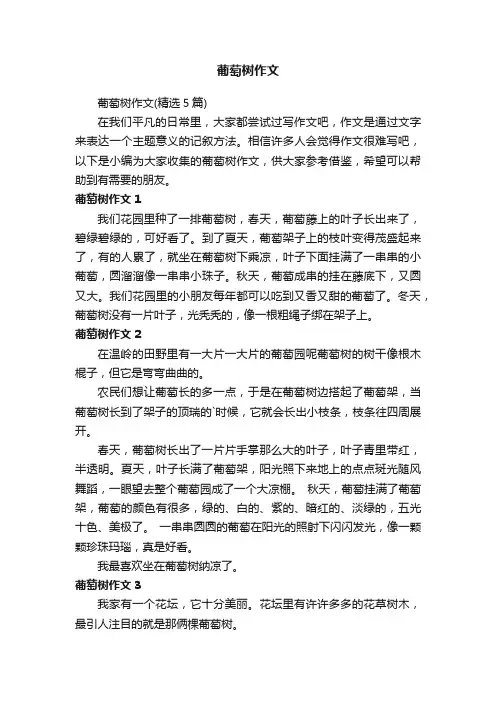 葡萄树作文（精选5篇）