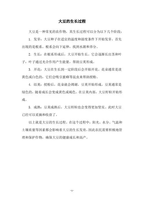 大豆的生长过程