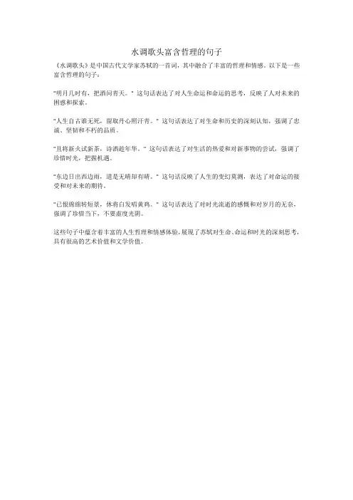 水调歌头富含哲理的句子