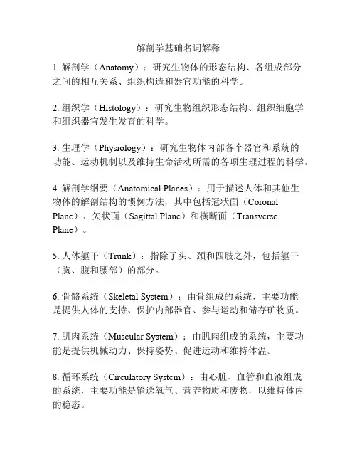 解剖学基础名词解释