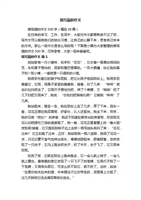 描写猫的作文500字（精选38篇）