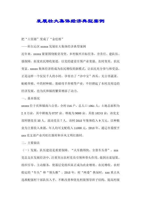 发展壮大集体经济典型案例【精编】