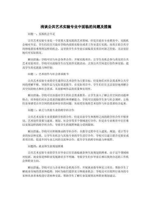 浅谈公共艺术实验专业中面临的问题及措施