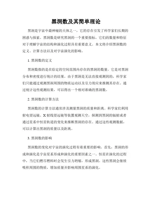 黑洞数及其简单理论