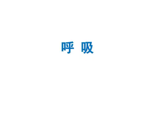 呼吸PPT课件