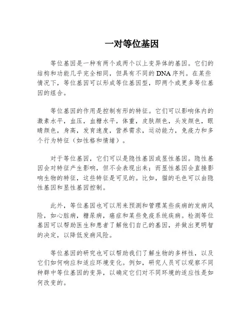 一对等位基因