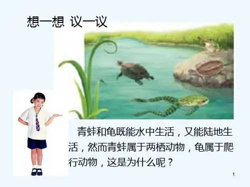两栖动物-PPT课件