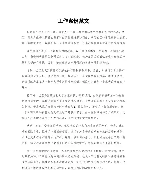 工作案例范文