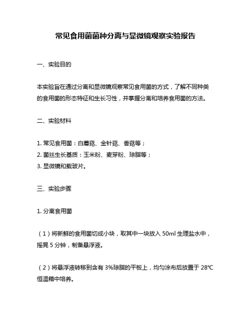 常见食用菌菌种分离与显微镜观察实验报告