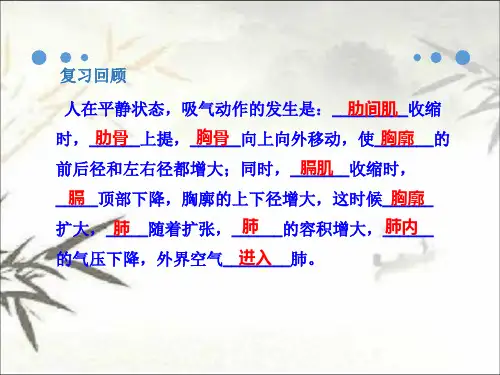 肺泡与血液的气体交换