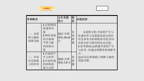 高三生物一轮复习通过神经系统的调节.pptx