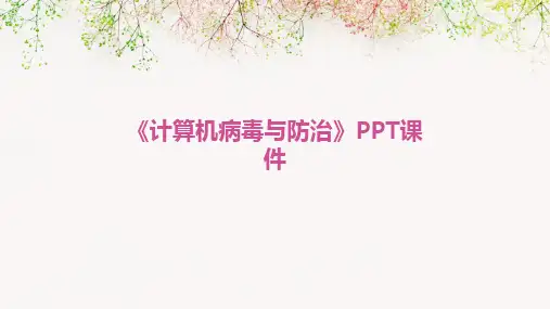 《计算机病毒与防治》PPT课件