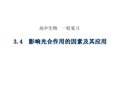 高中生物 影响光合作用的因素及其应用(共29张ppt)
