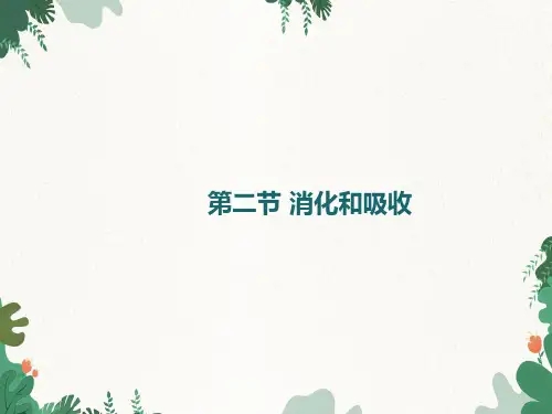 鲁科版(五四制)生物七年级上册4.2.2消化和吸收(共26张PPT)