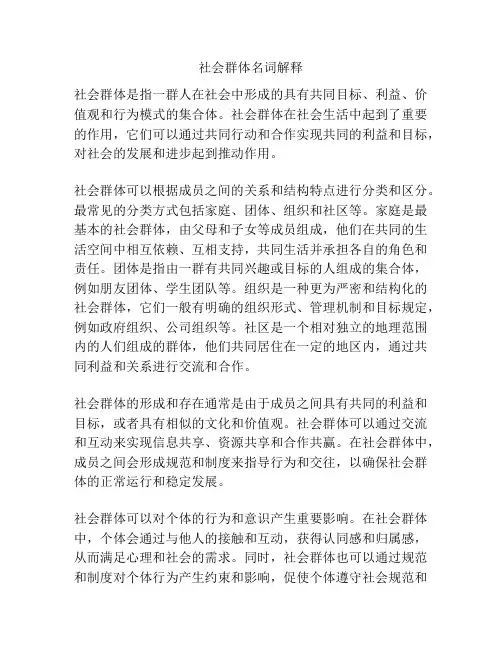 社会群体名词解释