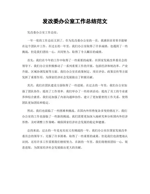 发改委办公室工作总结范文