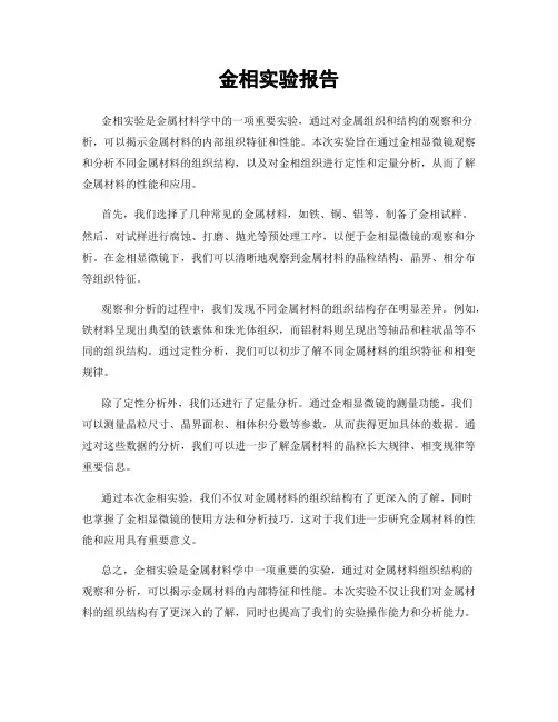金相实验报告