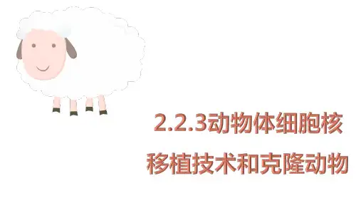 动物细胞核移植技术和克隆动物高二生物人教版2019 选择性必修3