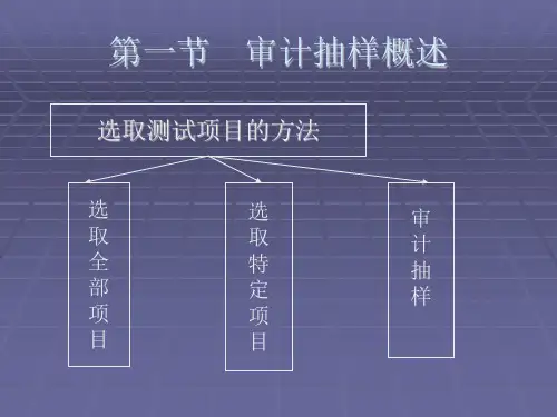 第十章审计抽样