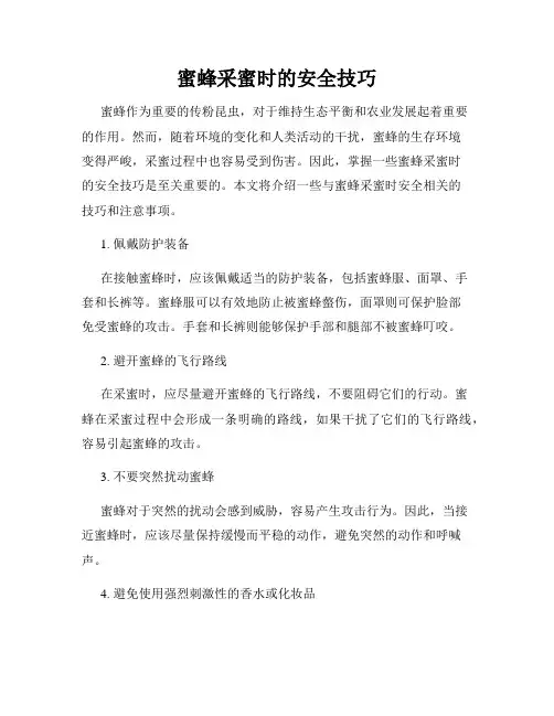 蜜蜂采蜜时的安全技巧