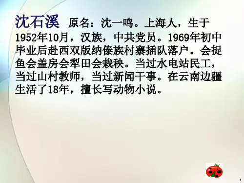 沈石溪动物小说读书交流会ppt课件