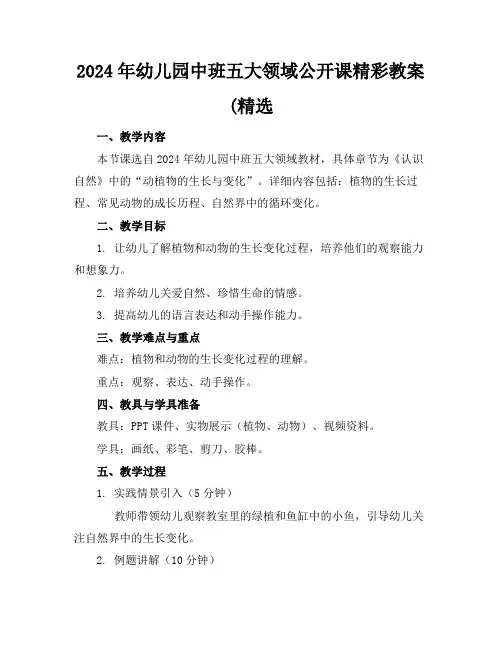 2024年幼儿园中班五大领域公开课精彩教案(精选