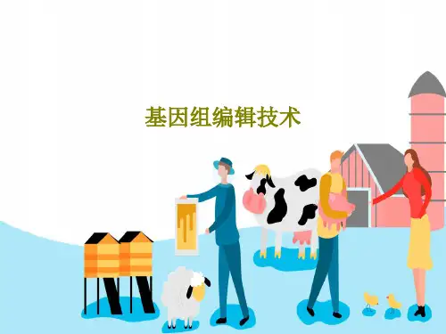 基因组编辑技术43页PPT