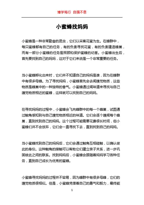 小蜜蜂找妈妈