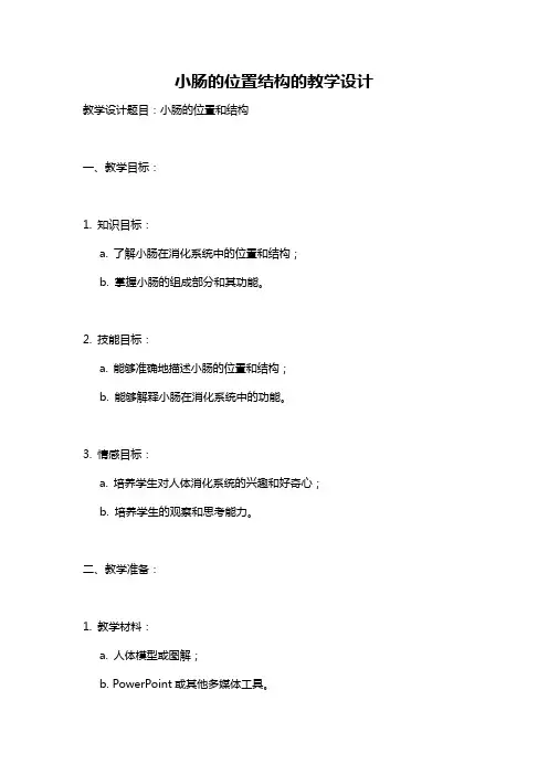 小肠的位置结构的教学设计