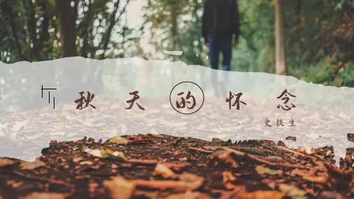 第5课《秋天的怀念》课件(共31张ppt)