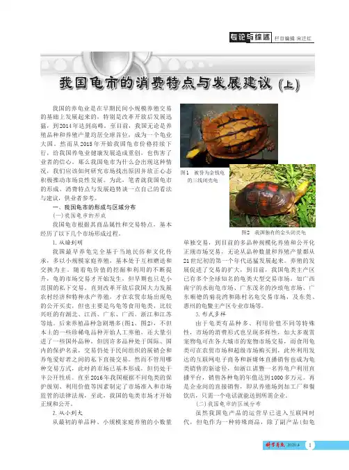 我国龟市的消费特点与发展建议(上)
