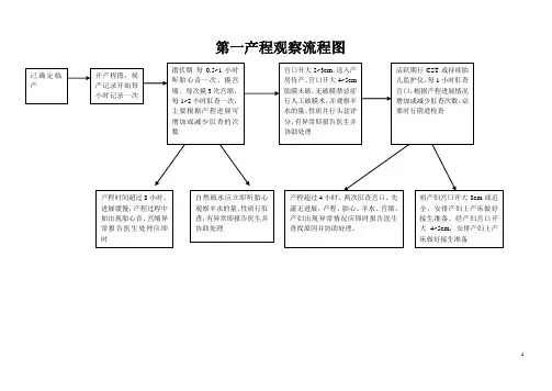 产程观察处理流程图