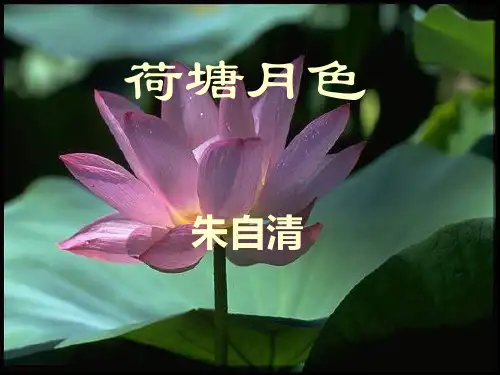《荷塘月色1》解析