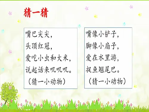 统编版一年级语文下册5小公鸡和小鸭子((共24张PPT))课件