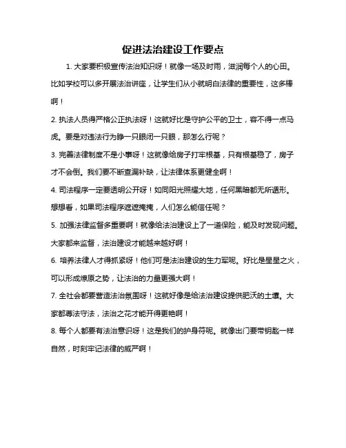 促进法治建设工作要点